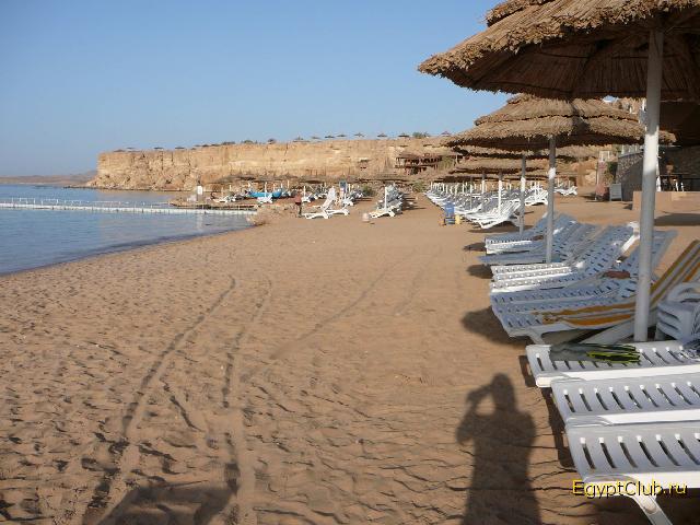 Reef Oasis ���� �����