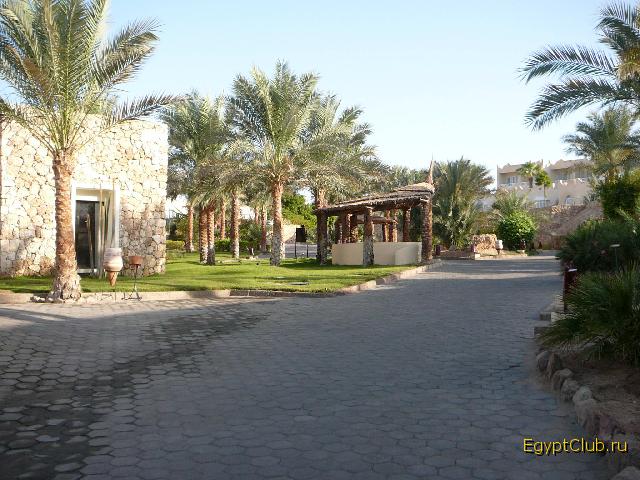 Reef Oasis ����������