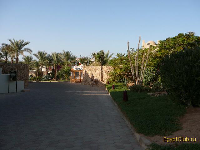 Reef Oasis ������� � �����