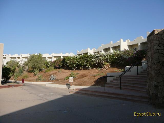 Reef Oasis 400-�� ������