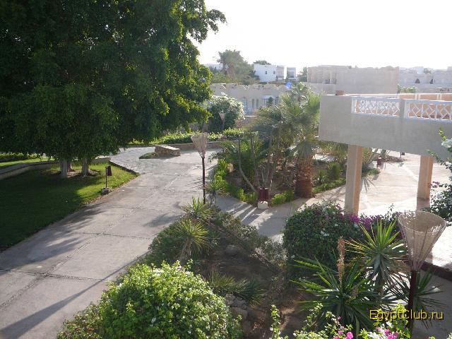 Reef Oasis ���