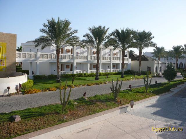 Reef Oasis 600-�� ������