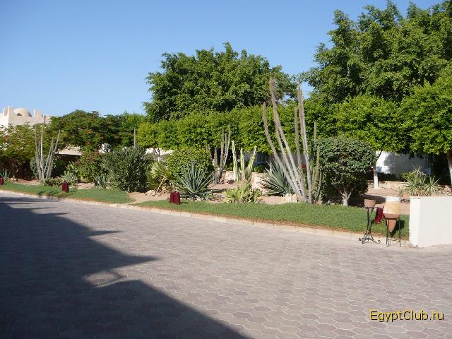 Reef Oasis ����������