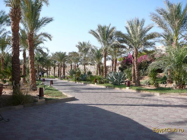 Reef Oasis ����������