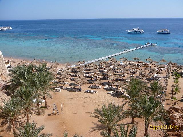 Reef Oasis ����