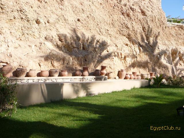 Reef Oasis ������� � �����