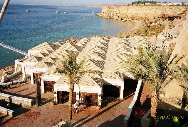 Reef Oasis ����� ��������