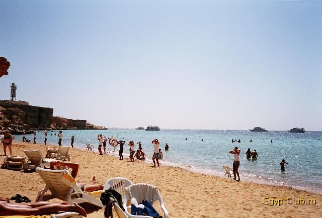 Reef Oasis ����