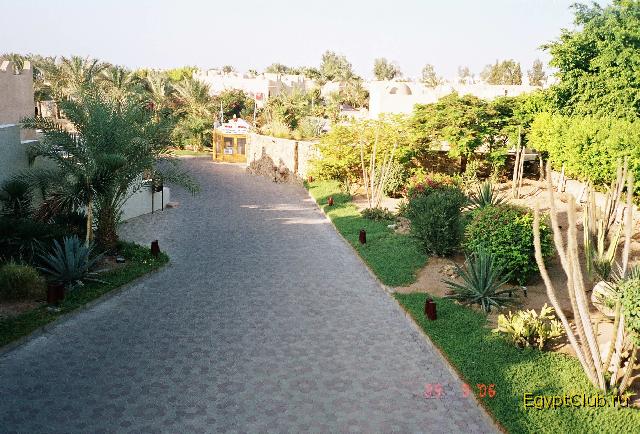 Reef Oasis ����������