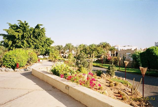 Reef Oasis ����������