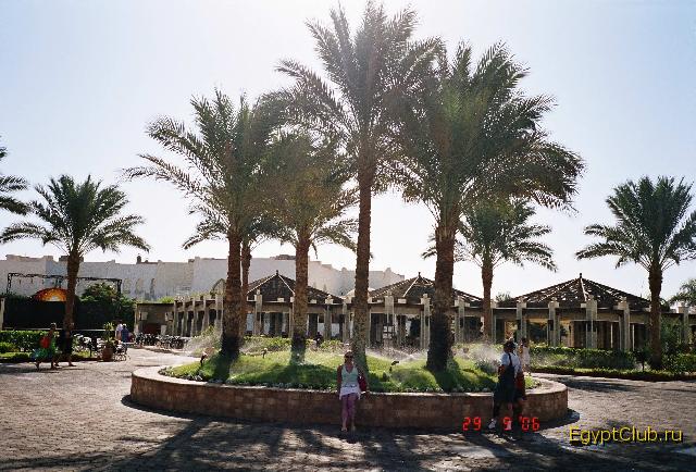 Reef Oasis �����