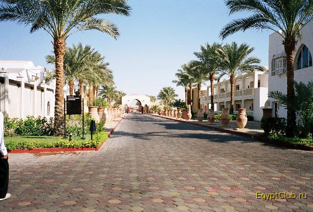 Reef Oasis �����