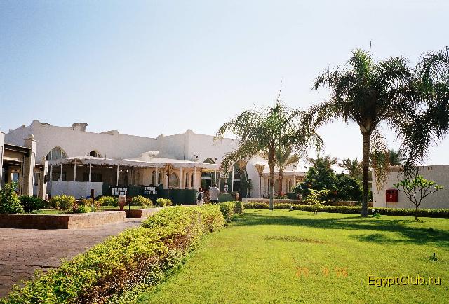 Reef Oasis ��������