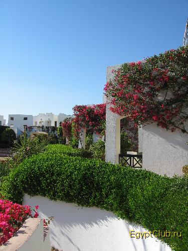 �� ������ ������ �����