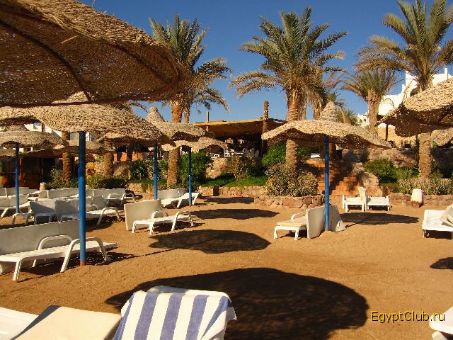 ���� �����