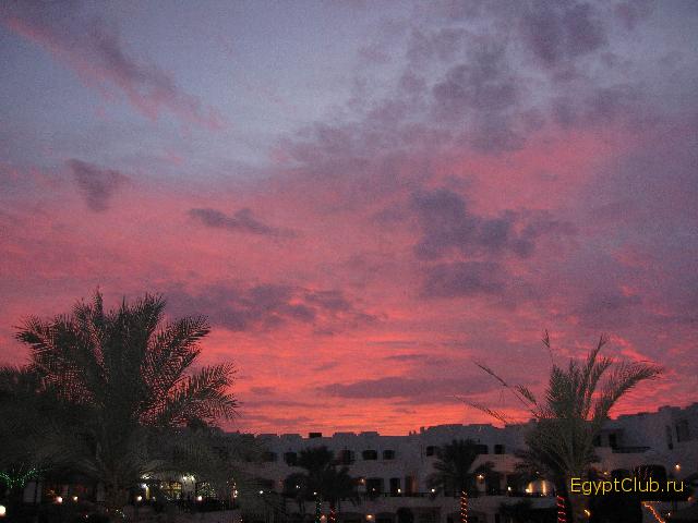 �������� ����