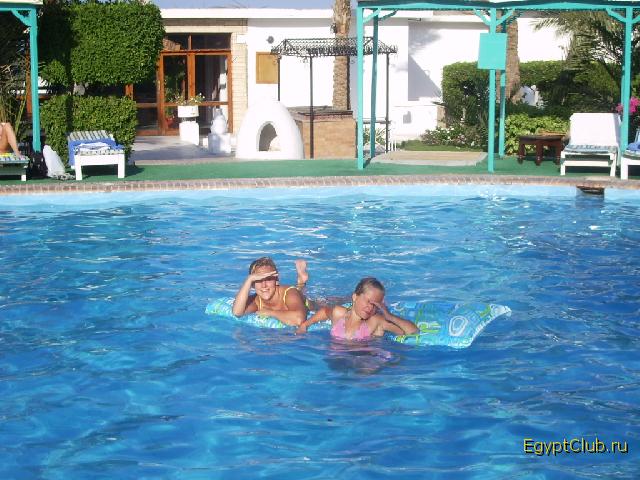 � ��������