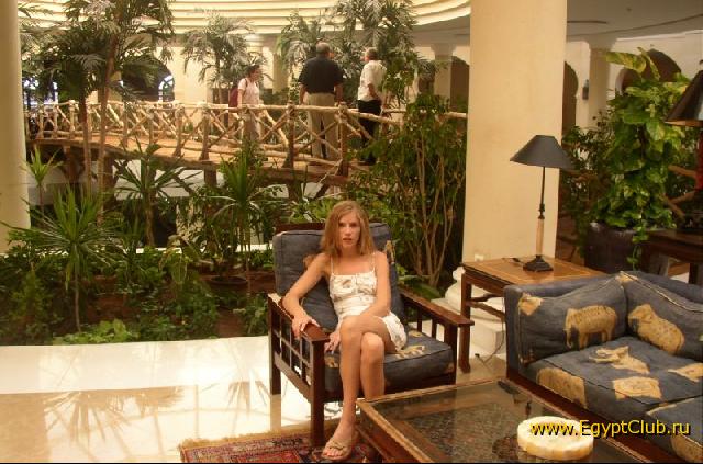 ���� ����� 