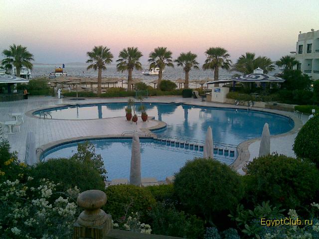 ���� �����