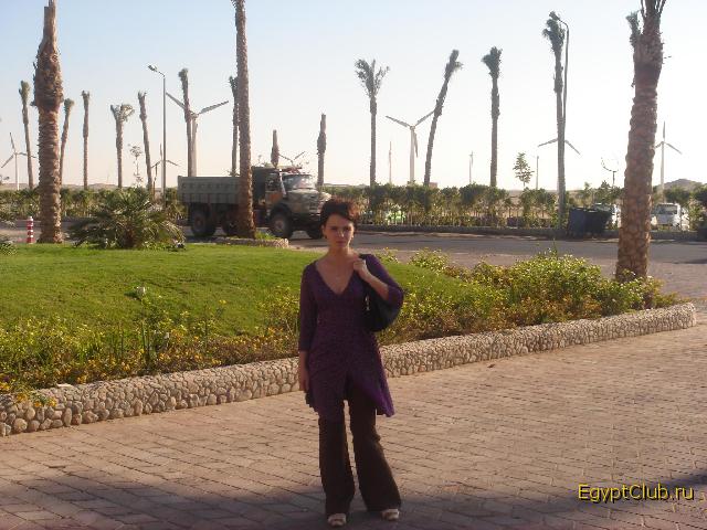 ����� ���������