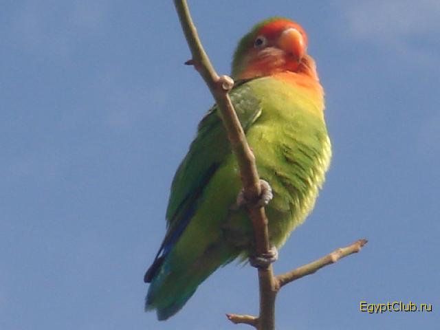 ������...