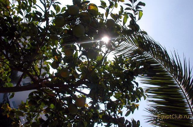 ���������, ������... ������, �������!