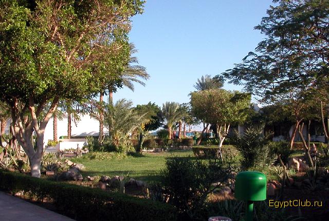 ������, ��� ����!