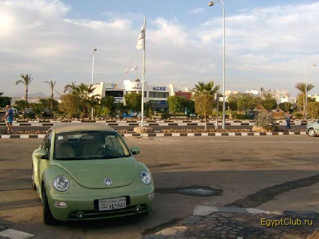 ����-���-����