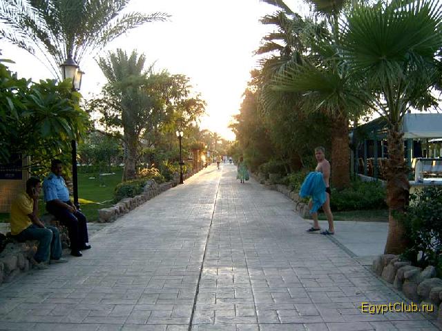 ����-���-����. ��������