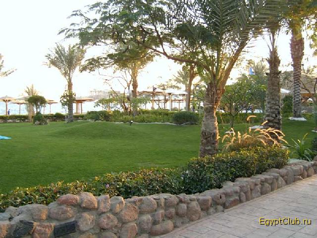 ����-���-����. �������� �� ���������