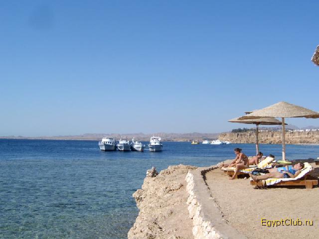 ����-���-����. ����� ���-��-���-���.