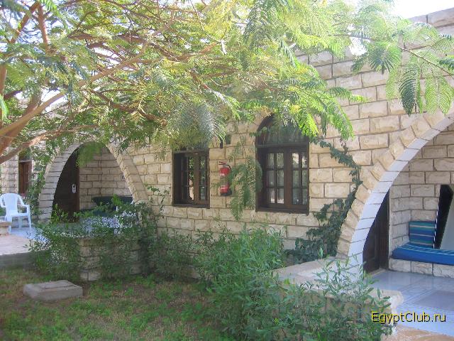 ��� ����� � �����