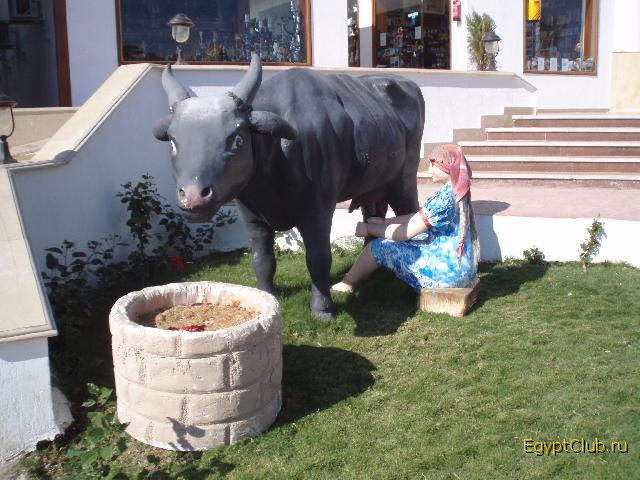 ������ � Dreams Vacation