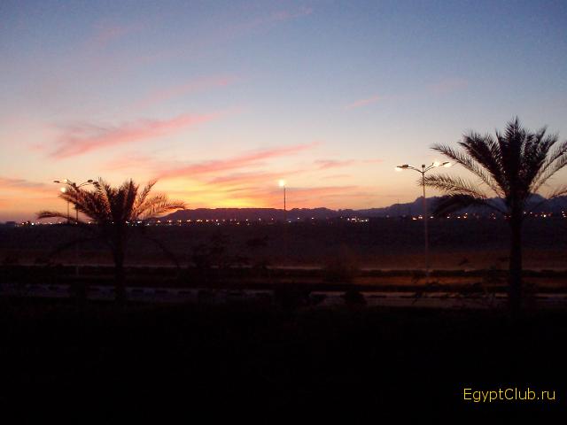 ���� �����