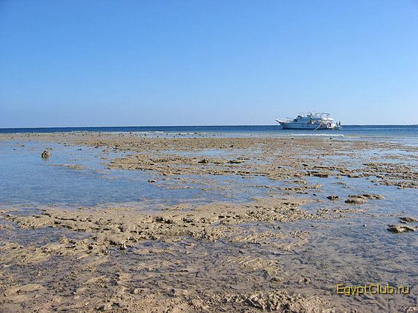 ������ �������� ���������� �������� Makadi Palace