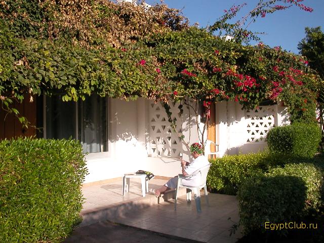 ������������. ������ ����� � ������, � ������� - � ������.