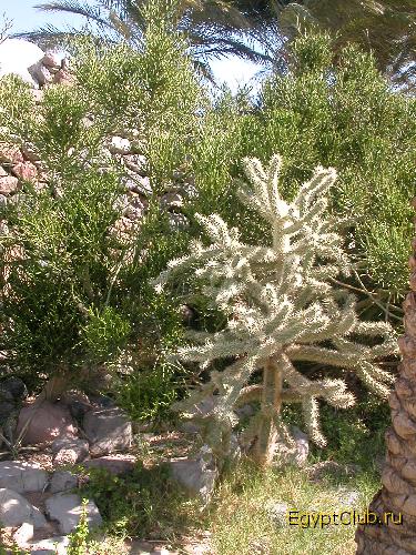 ������ �� ���������