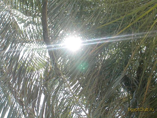 ��� � ������