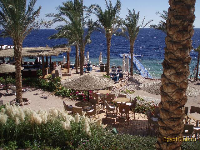 ��� �� �����