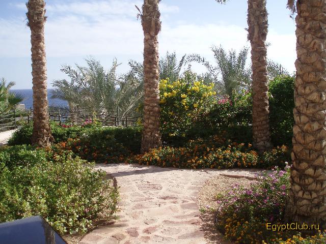 ��� � ������