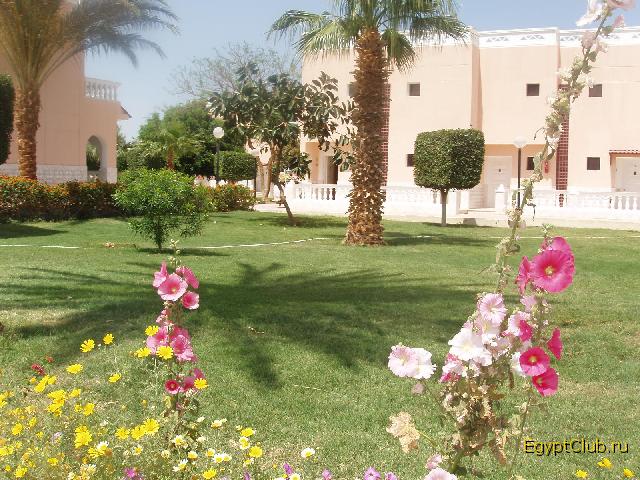 ���������� � ���