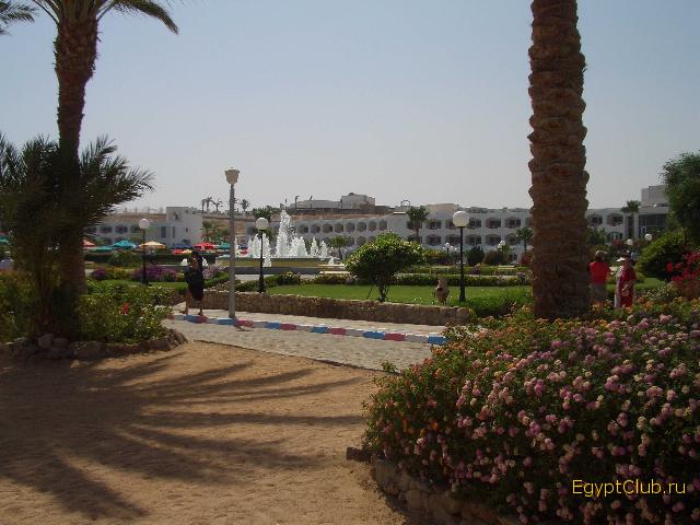 ��� �� ������