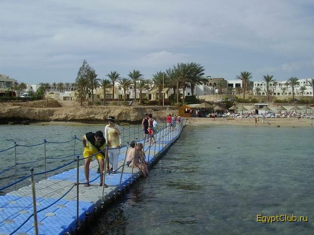 ��� � ��������