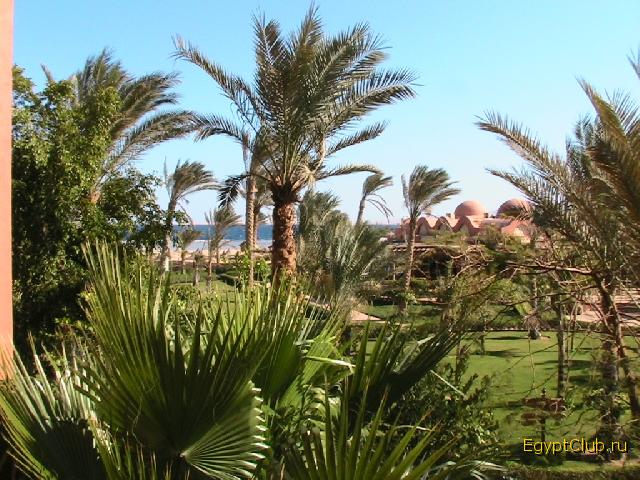 ������ ����