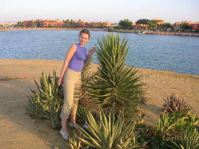 �������� ���-����