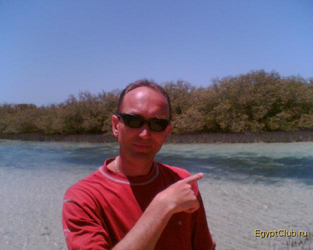 ��������� �������