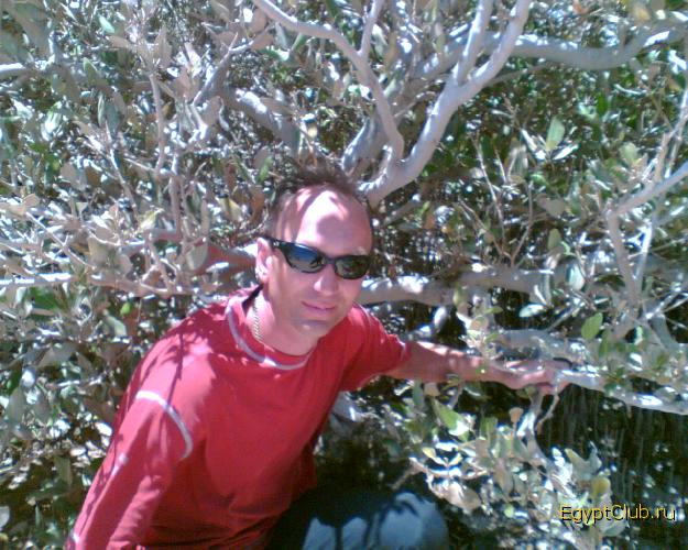 ��������� ������