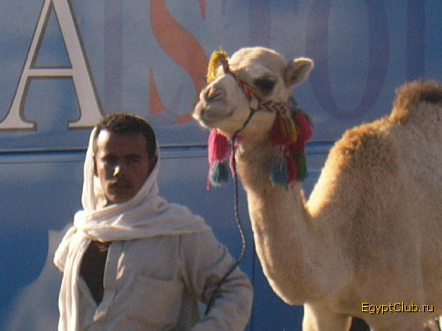 ������ � ������