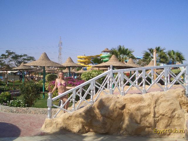 ������� ��������