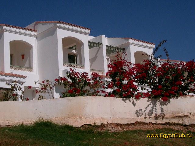 ����� Coral Beach Tiran